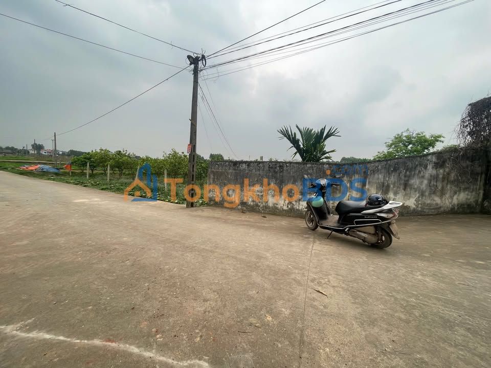 Đất nền Nghĩa Hưng Lạng Giang 140m² giá thỏa thuận - Đường to ô tô