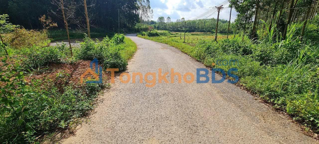 Đất Xưởng 3400m² Mặt Tiền Appan, Đồng Tiến, Yên Thế - Giá 2.7 Tỷ