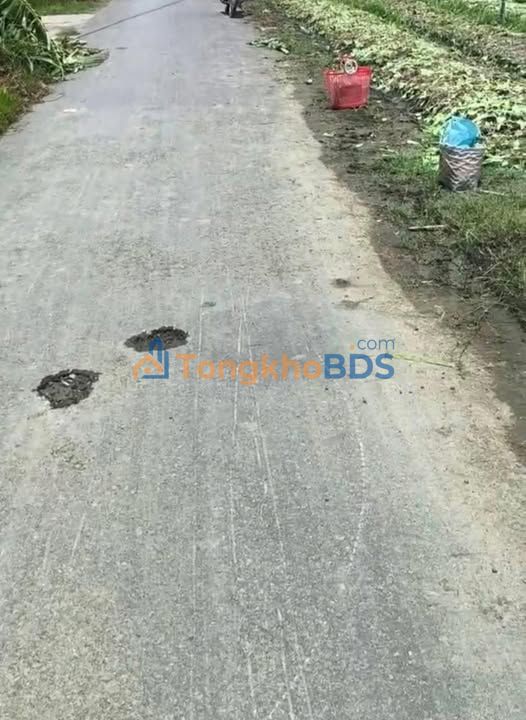 Đất nền Gò Công 200m² 660 triệu - Sổ đỏ chính chủ