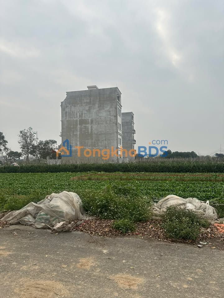 Đất nền CIENCO5 Mê Linh 100m² - Sổ đỏ chính chủ