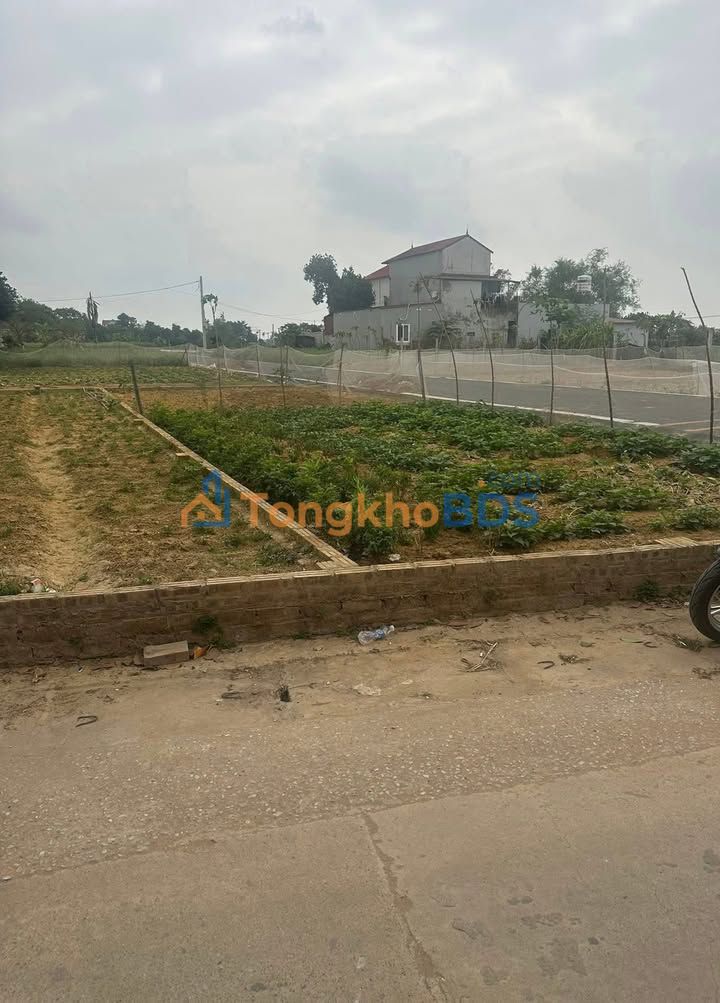 Đất nền Tân Minh Sóc Sơn 91m² giá đầu tư - Đất thổ cư sổ đỏ