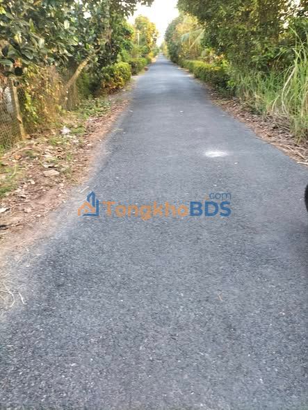 Đất Nền Chợ Gạo Tiền Giang 137m² - Gần Biển, Sát Trường Học - Giá 470 Triệu