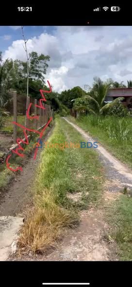 Đất nền Tiên Thuận Bến Cầu 205m² 280 triệu - Sổ đỏ chính chủ