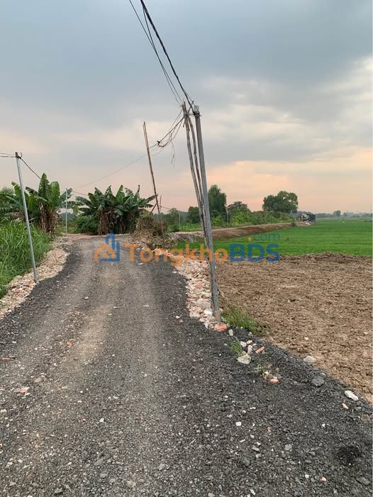 Đất Vườn Hóc Môn 549m² - Giá 2.25 Tỷ - Sổ Sẵn, Xe Hơi Tới Đất