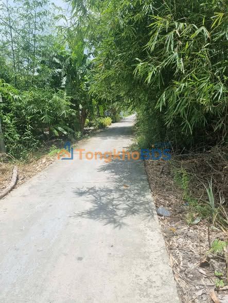 Đất Vĩnh Long 190m² Sổ Hồng Riêng - Gần Chợ Đại Thành, Giá Thương Lượng Mạnh