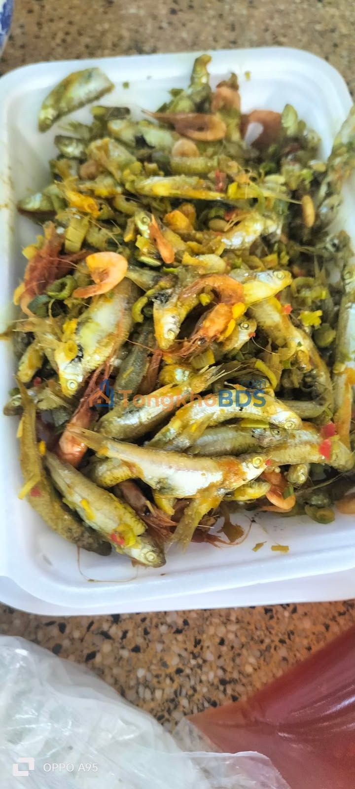 Đất nền Tân Tây Gò Công Đông 150m² thổ cư 100% - Xây dựng tự do