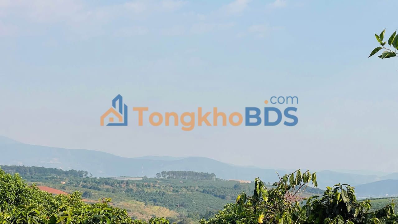 Đất View Đồi Chè Đức Trọng 500m² - Sổ Đỏ 100m² Thổ Cư - Giá 1.25 Tỷ