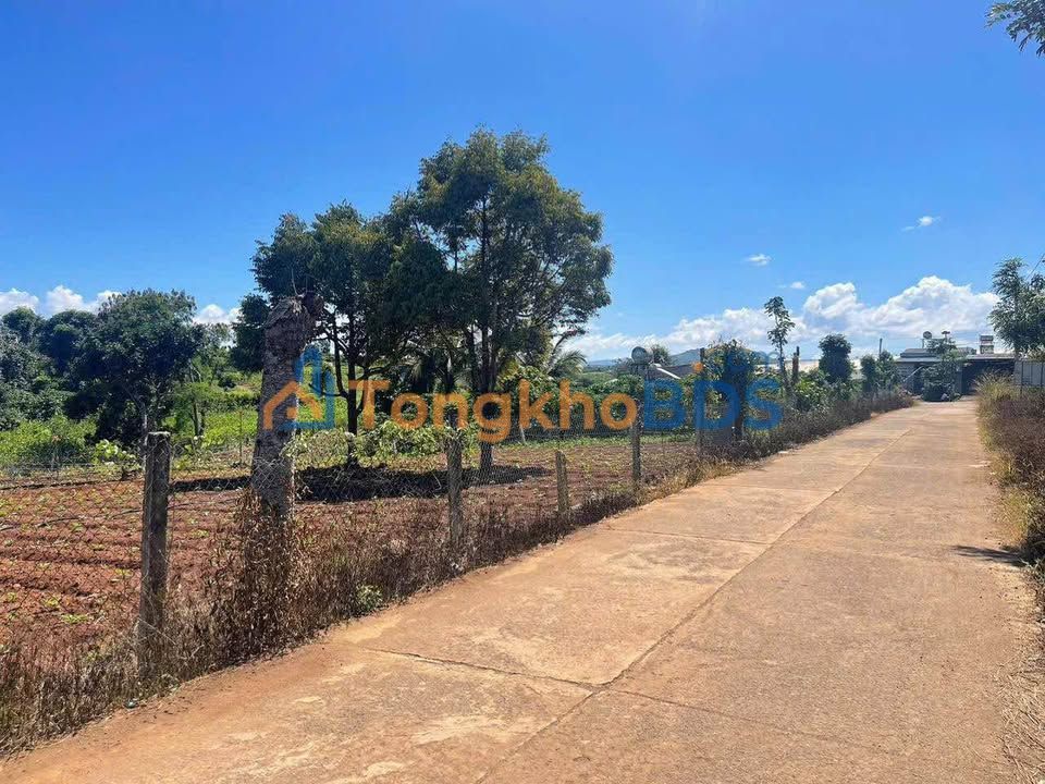 Đất nền Tân Hội, Đức Trọng 1.267m² 4.1 tỷ - Sổ hồng chính chủ