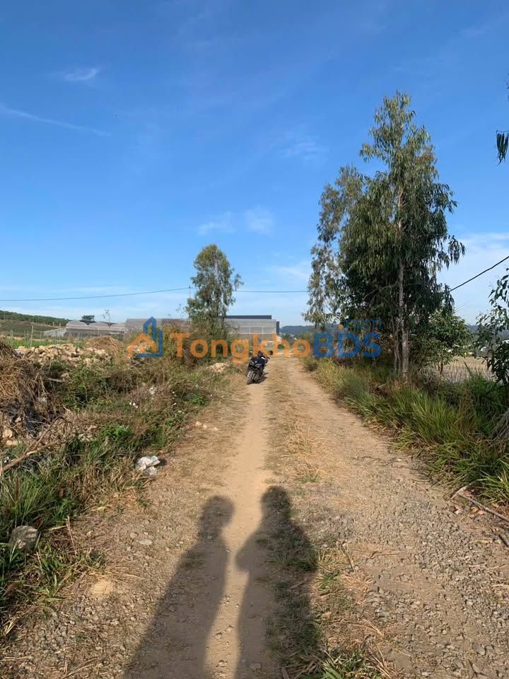 Bán Đất Nền 10800m² Đức Trọng, Lâm Đồng - Mặt Tiền Đường 30m, Giá 3.4 Tỷ