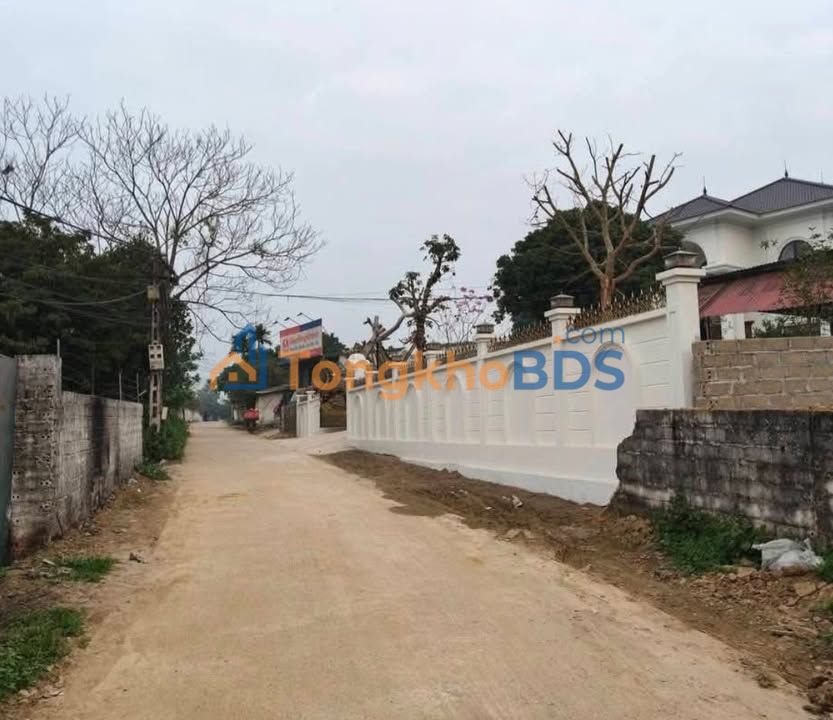 Dat tho cu Ba Trai Ba Vi 314m2 gia 3 ty - So do chinh chu