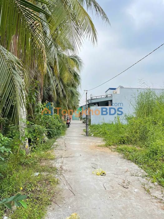 Bán Đất Vườn Trung An 1062m² Giá 2.3 Tỷ - Tiềm Năng Tăng Giá Cao