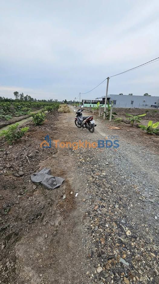 Đất Vườn Bến Lức 500m² - Sổ Hồng Sẵn Sàng - Đầu Tư Sinh Lời