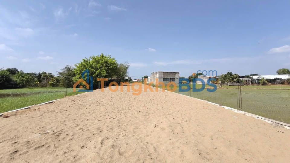 Đất Nền 1000m² Mặt Tiền QL N2, Thủ Thừa - Sẵn Sàng Kinh Doanh