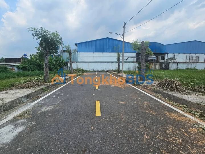 Bán Đất Nền 44m² KDC Cát Tường Phú Hòa, Long An - Sổ Hồng Sẵn Sàng