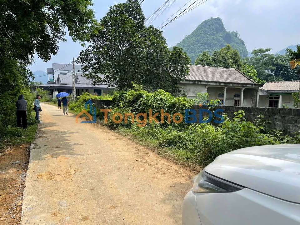 Đất Hưng Long Yên Lập 2.800m² giá 1.x tỷ - Sổ đỏ chính chủ