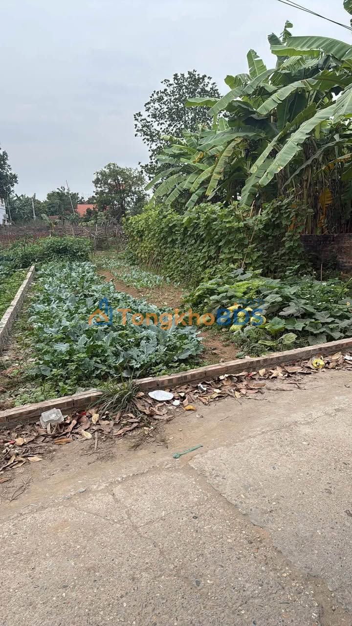 Đất thổ cư 108m² Hà Đông - 3.2 tỷ, sát chợ Nại Châu