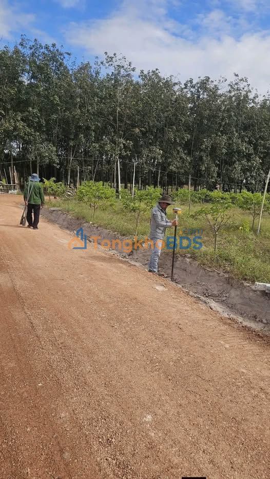 Đất nền Tây Ninh DT793 1000m² 400 triệu - Sổ đỏ chính chủ