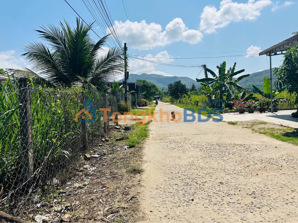 Đất nền Diên Lâm 986m² 1.35 tỷ - Đường to ôtô