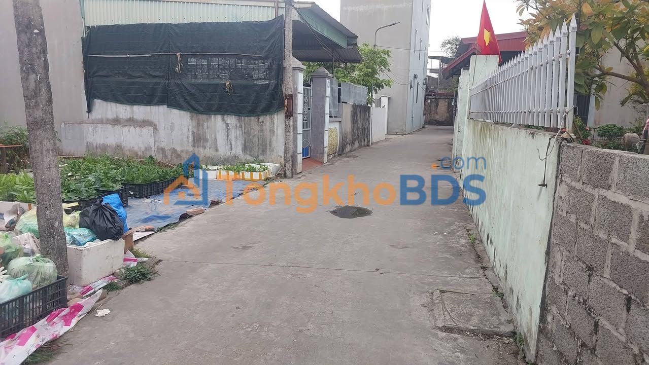 Bán Đất 157m² An Lão, Hải Phòng - Sổ Đỏ Sẵn Sàng