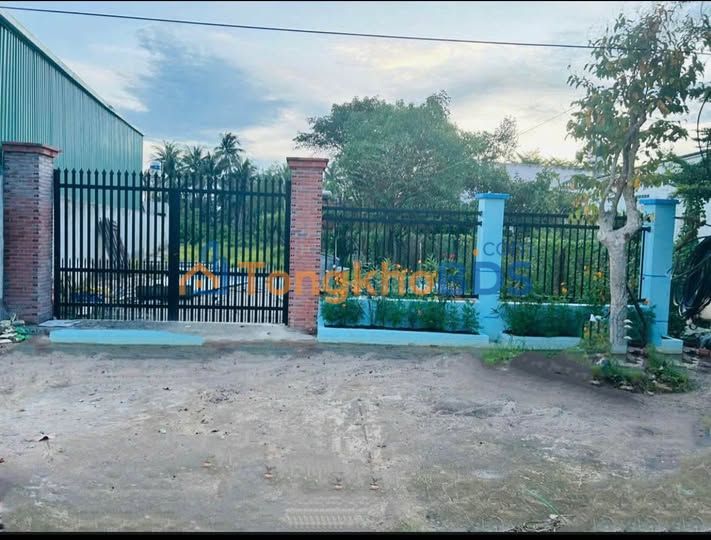 Đất Nền Mặt Tiền Đường Số 63, Hòa Thành, Tây Ninh - 466m² Thổ Cư, Giá Tốt