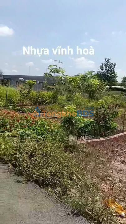 Đất nền Phước Hòa Phú Giáo 135m2 850 triệu - Sổ đỏ chính chủ