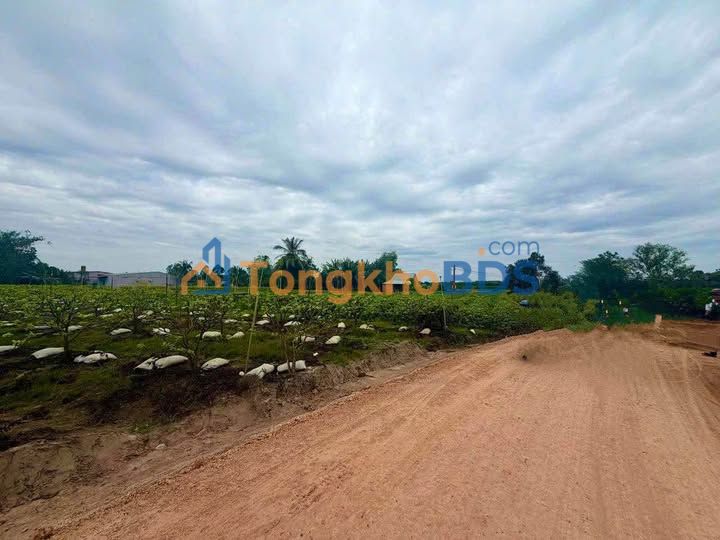 Đất nền Suối Đá, Dương Minh Châu 200m² - Giá đầu tư chỉ 275 triệu