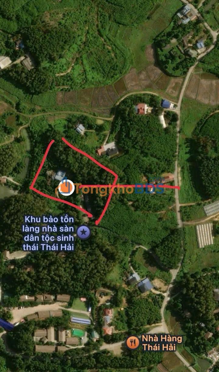 Đất thổ cư Làng Thái Hải Tân Cương 6.327m² 7 tỷ - Sổ đỏ chính chủ