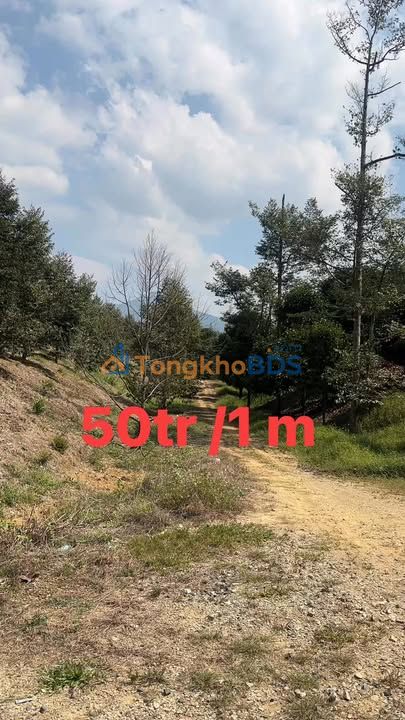 Đất nền Đạm Ri 800m² 40 tỷ - Sổ đỏ chính chủ