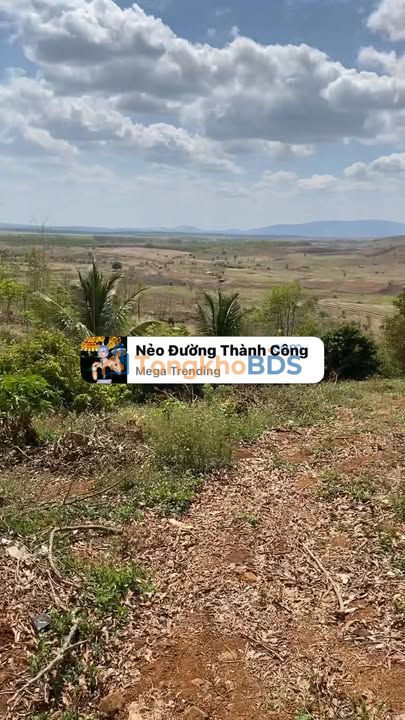 Đất nền Ia Le Gia Lai 3.000m² 5,83 tỷ - Sổ đỏ chính chủ