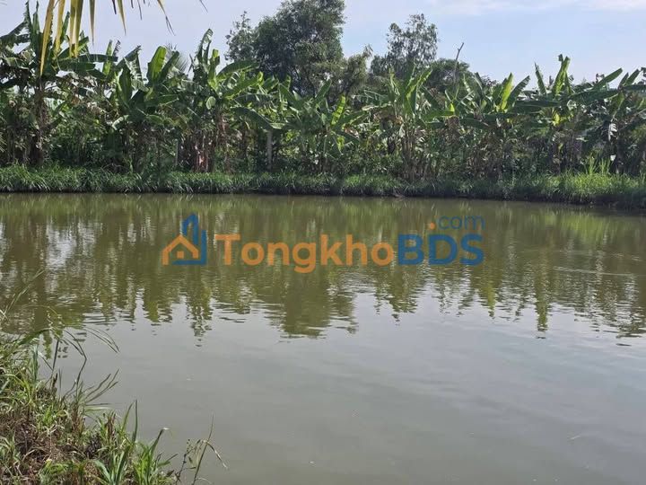 Đất Vườn Nghỉ Dưỡng 2500m² - 550tr/công - Gò Công, Tiền Giang