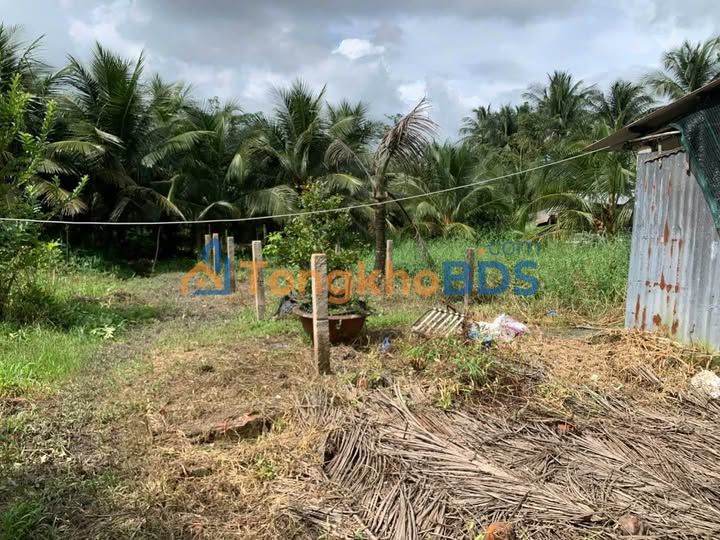 Bán Đất Nền Mỹ Phong, Tiền Giang 304m² - Giá Chỉ 5xx Triệu