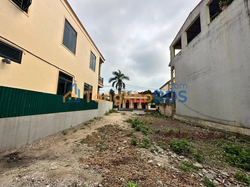 Đất nền Thanh Miếu Việt Trì 118m² 3 tỷ - Đường to ô tô