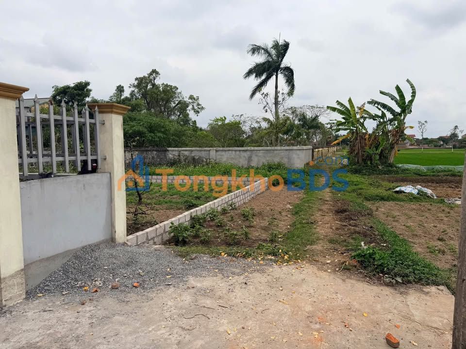 Đất nền Tây Đô Hưng Hà 252m² giá 1.2 tỷ - Giá tốt hiếm có