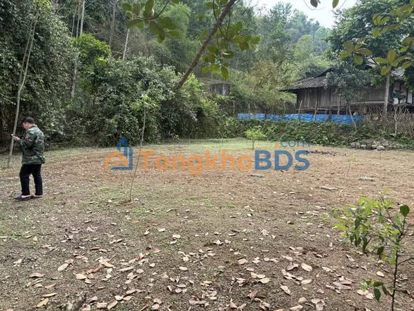 Đất Vàng Kim Lư, Na Rì 918m² - Sổ Đỏ Vuông Vắn, Giá F0 250 Triệu