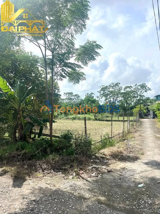 Đất thổ cư Móng Cái 138m² giá thỏa thuận - Sổ đỏ chính chủ