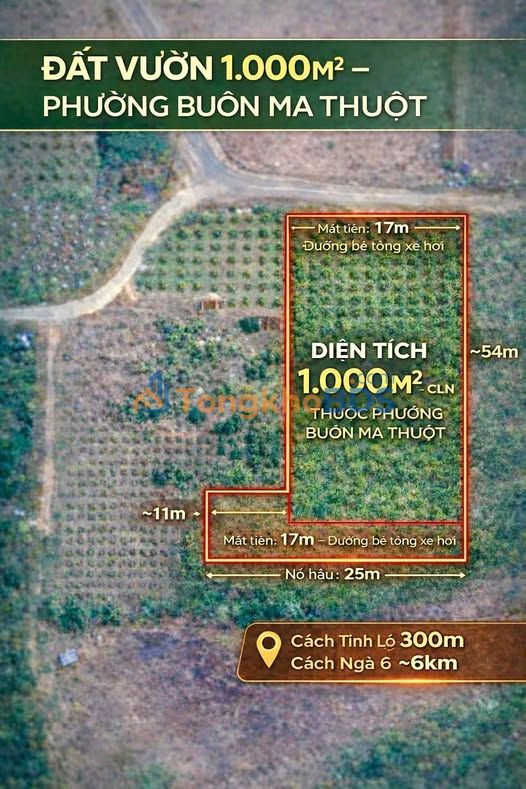 Đất Vườn 1000m² Buôn Ma Thuột - Sổ Hồng Riêng - Giá Đầu Tư 1.18 Tỷ