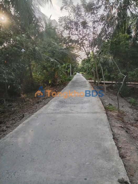 Đất vườn Phú Hưng Bến Tre 5.544m² 3,6 tỷ - Nghỉ dưỡng lý tưởng