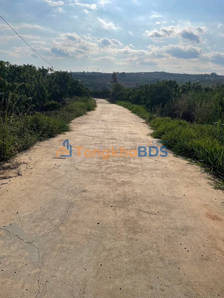 Đất thổ cư 100m² mặt tiền đường 150m, Đức Trọng - 4.8 tỷ