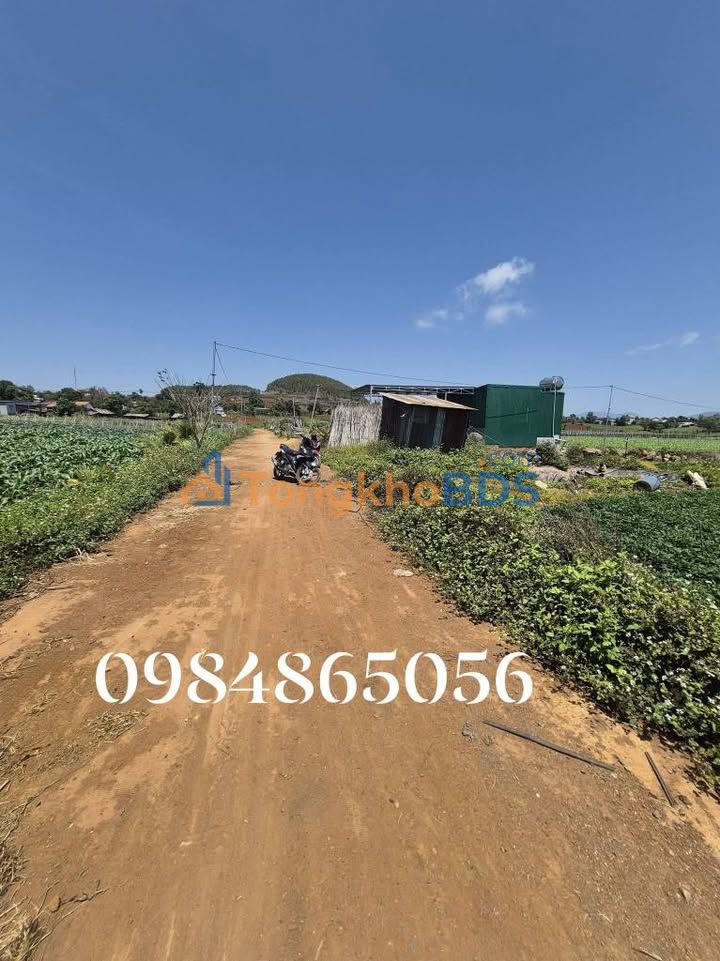 Đất vườn Tu Tra Lâm Đồng 1ha 4.3 tỷ - Sổ đỏ chính chủ