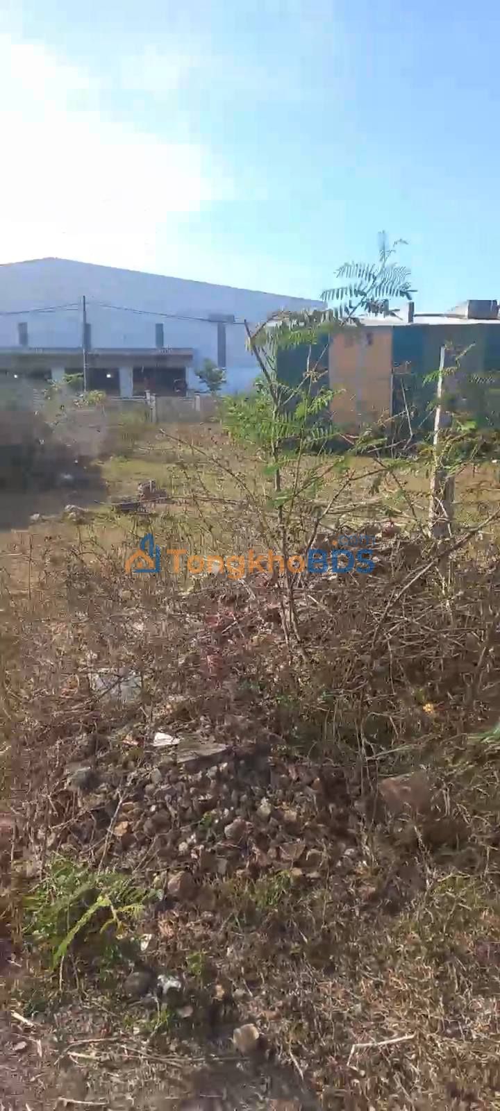 Đất KCN Pre Đức Trọng 100m² 950 triệu - Tiềm năng tăng giá