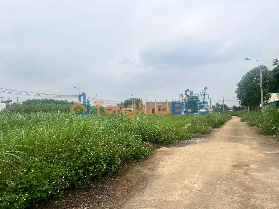 Đất Nền Nghĩa Tiến 160m² - Sổ Đỏ Full Thổ Cư, Giá Chỉ 1.5 Tỷ