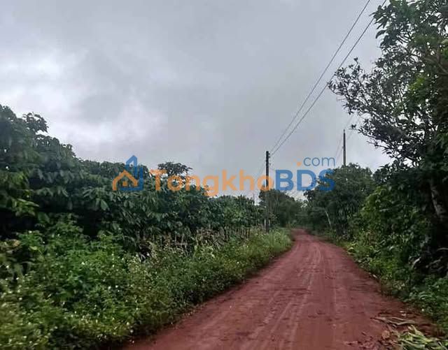 Đất nền Thôn 9 Lộc Ngãi 2.880m² 3,68 tỷ - Đường to ô tô