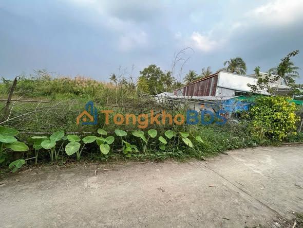 Đất nền Đường Đan Trần Đề 125m² 300 triệu - Sổ đỏ