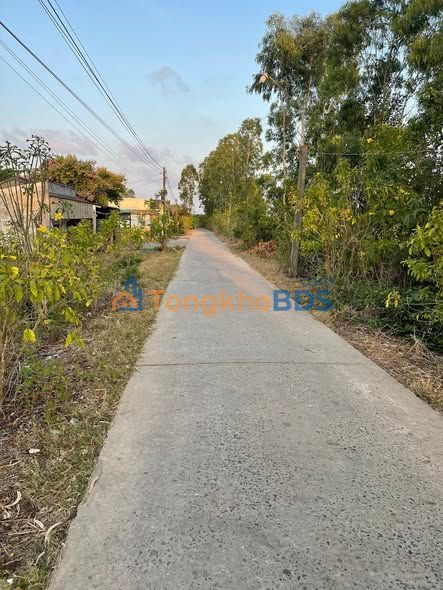 Đất nền Đại Ân 2 Trần Đề 1.560m² giá thỏa thuận - Tiềm năng tăng giá