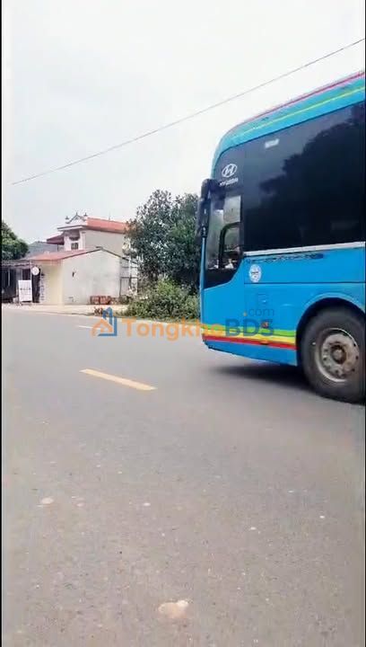 Đất QL31 Tiên Nha Lục Nam 247m2 3 tỷ - Sổ đỏ