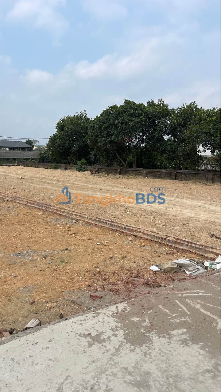 Đất nền Thụy An Ba Vì 115m² 1 tỷ - Sổ đỏ chính chủ