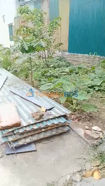 Đất nền Thanh Mai 49m² giá 2.0 tỷ - Đường ô-tô, xây tự do