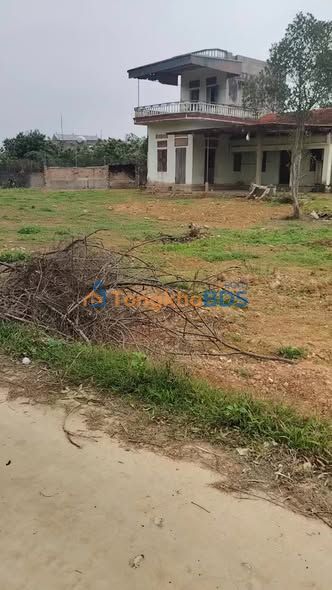 Đất vườn Tân Hưng Lạng Giang 2.300m² dưới 5 tỷ - Đầu tư dài hạn