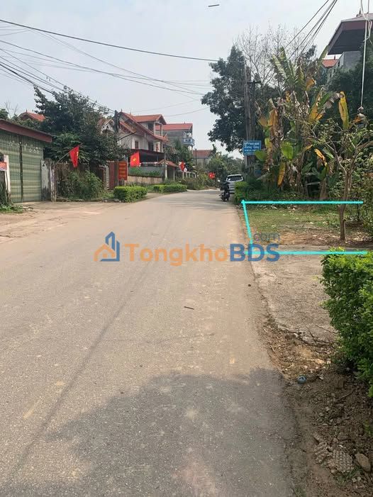 Đất nền Quang Thịnh Lạng Giang 90m² giá thỏa thuận - Đường to ô tô