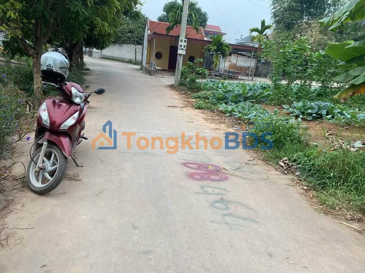 Đất nền An Hà Lạng Giang 100m² - Tiềm năng tăng giá